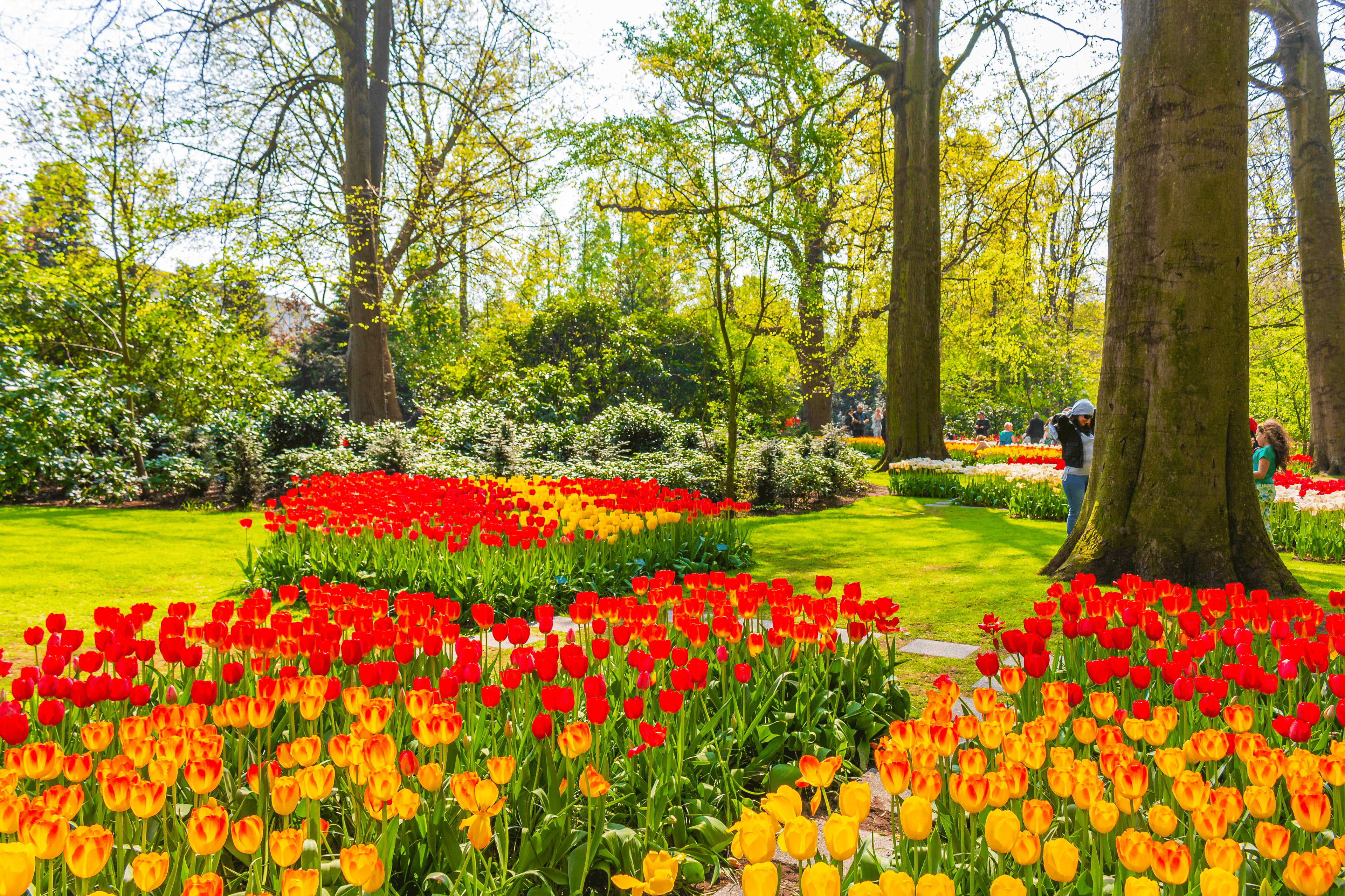 Şehir parkı ve yeşil alan