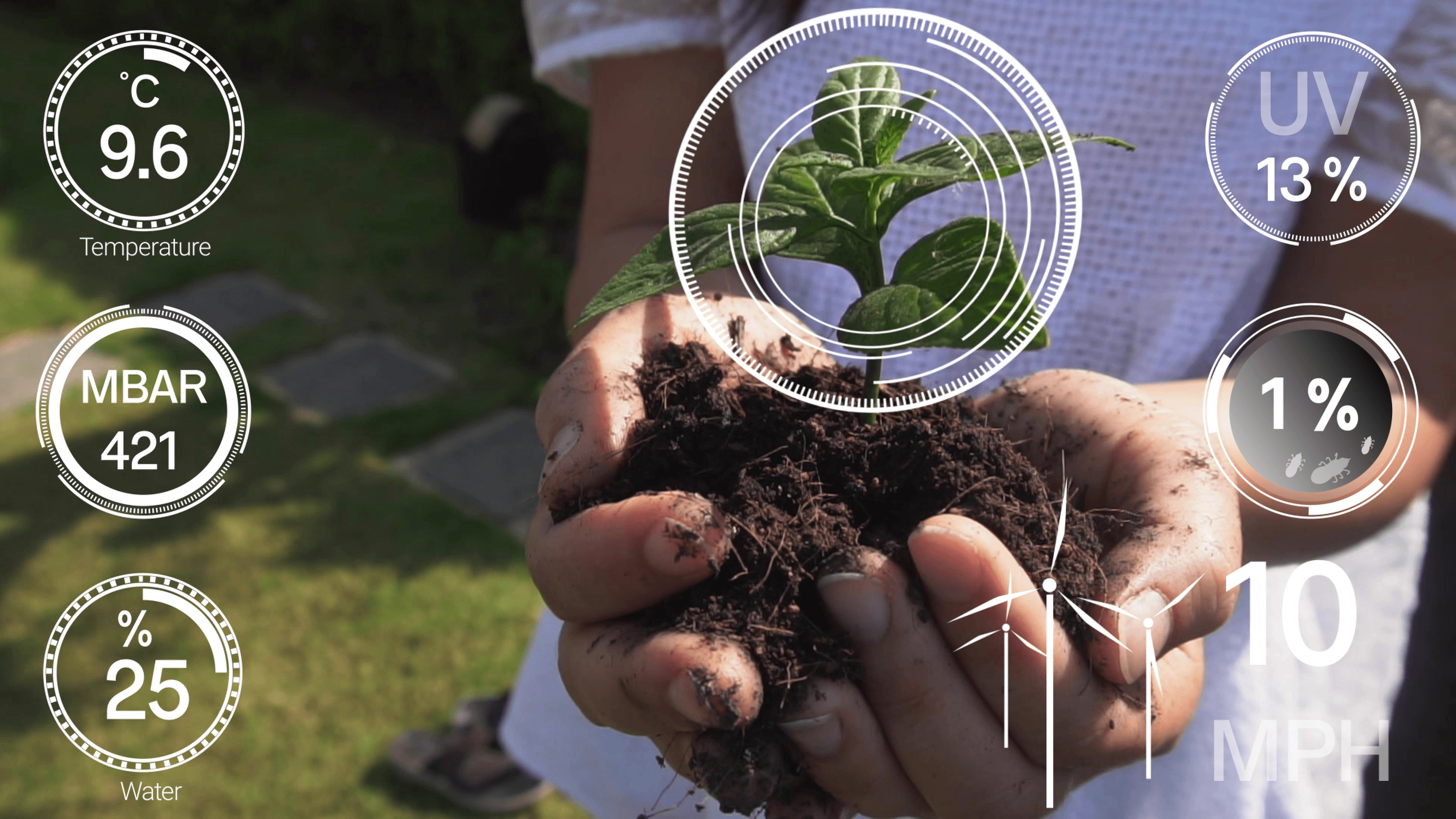 Bloomera platform ekranı